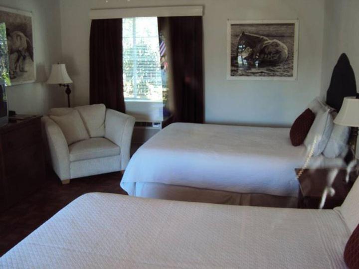 La Siesta Motel Τούσον Δωμάτιο φωτογραφία