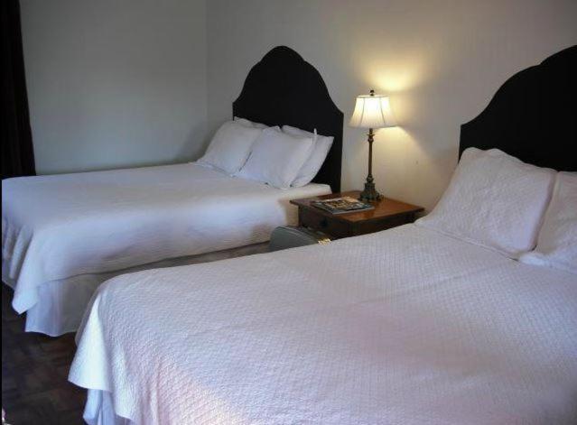 La Siesta Motel Τούσον Δωμάτιο φωτογραφία